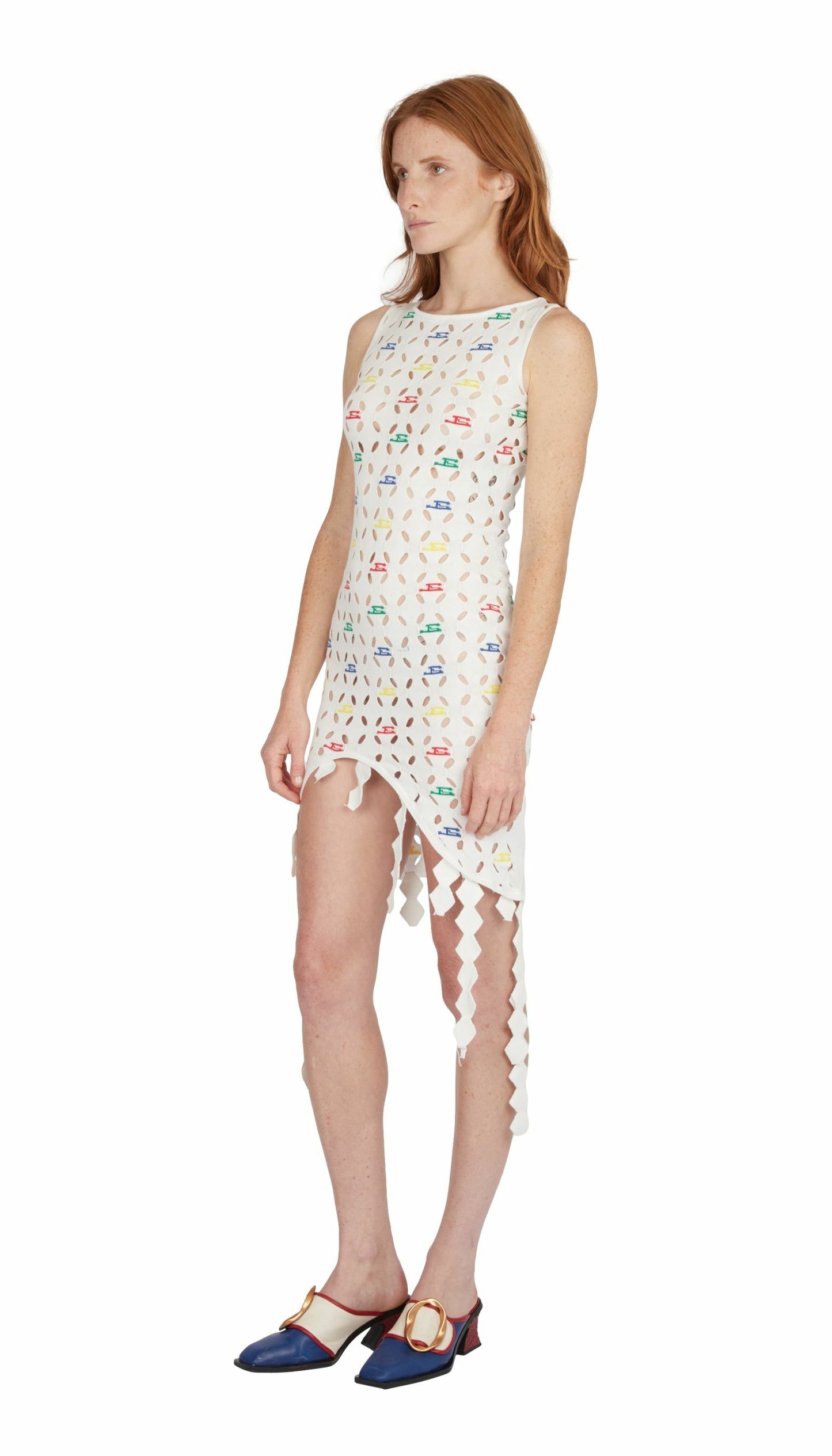 Arlequin dresss