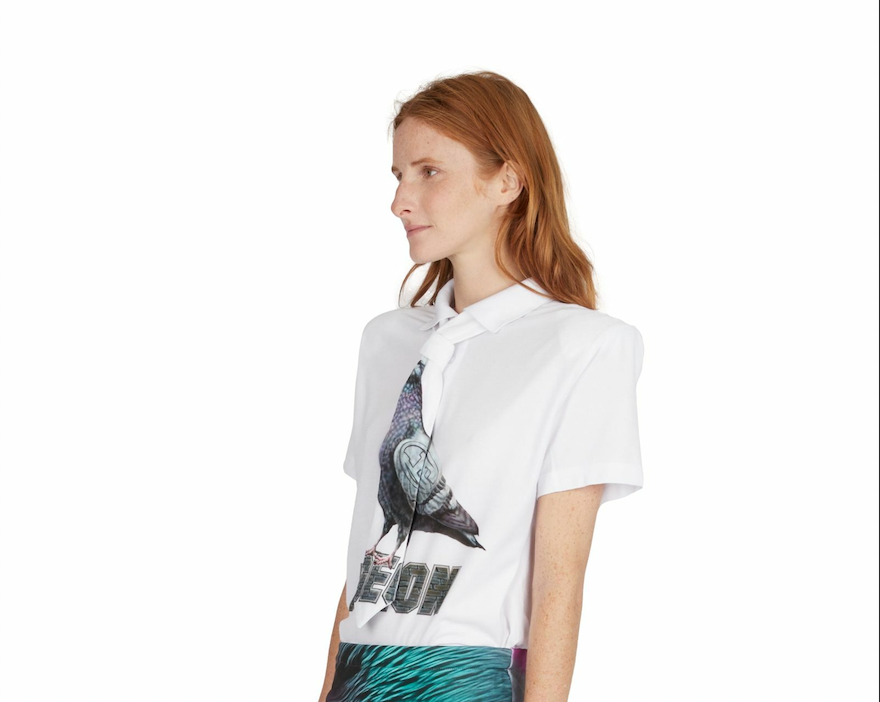 Pigeon Polo